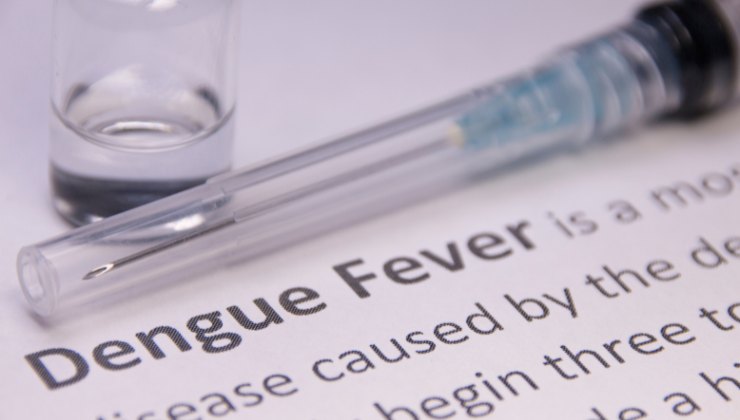 febbre dengue, casi in aumento: ecco dove
