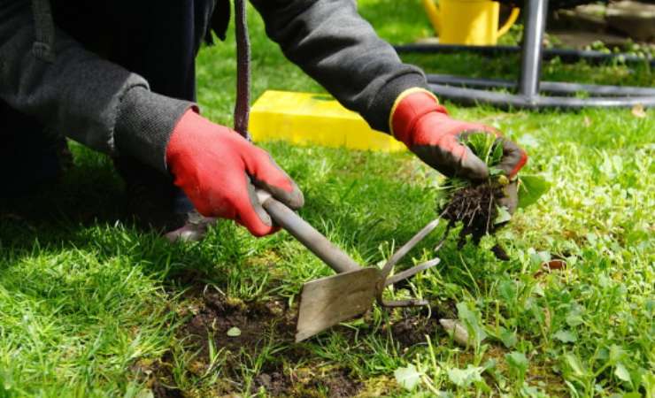 Con questa tecnica, date una seconda vita ai vecchi asciugamani in giardino