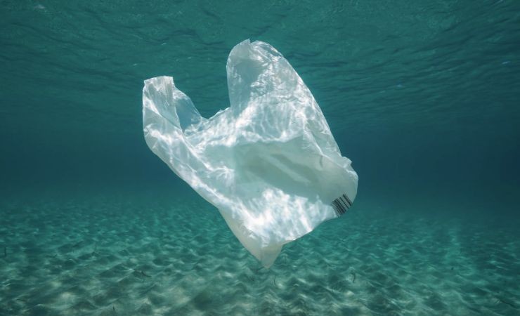 La nuova politica UE contro gli imballaggi di plastica monouso