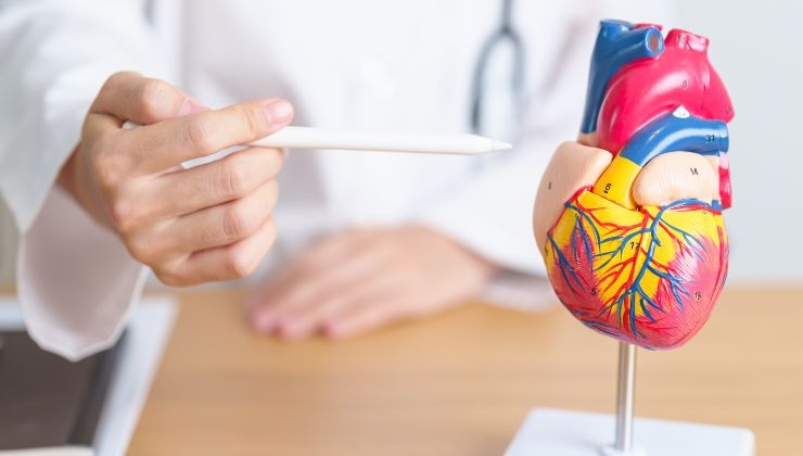 quali sono i problemi cardiovascolari