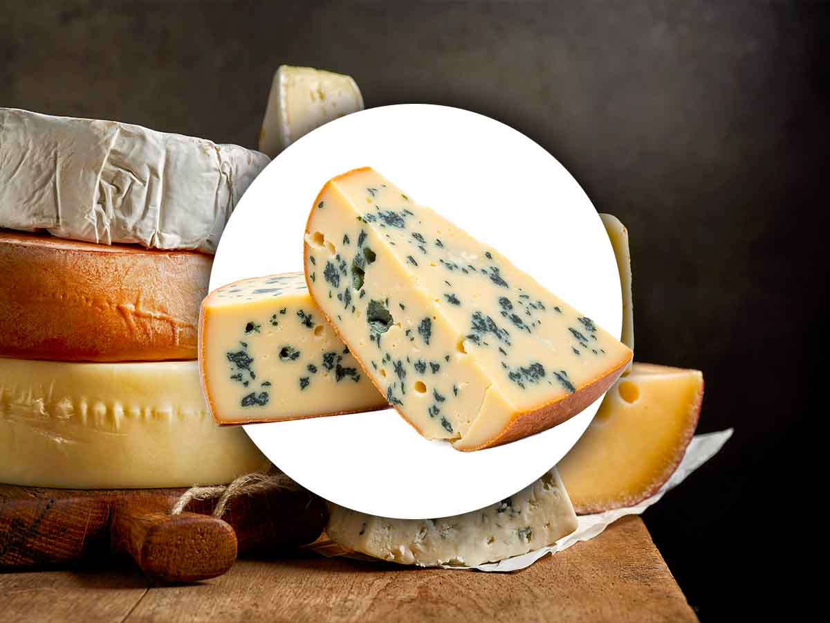 formaggio con la muffa